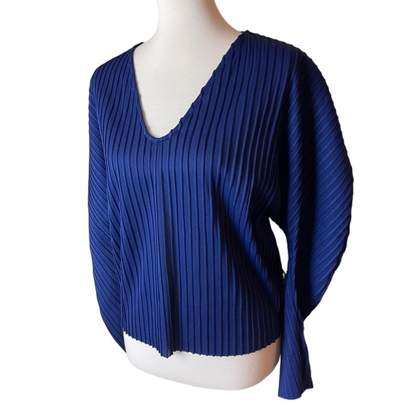 NWT Zara Trafaluc Blue Long Sleeved Stripe Textured V-Neck Top - Size Small - Picture 3 of 12
